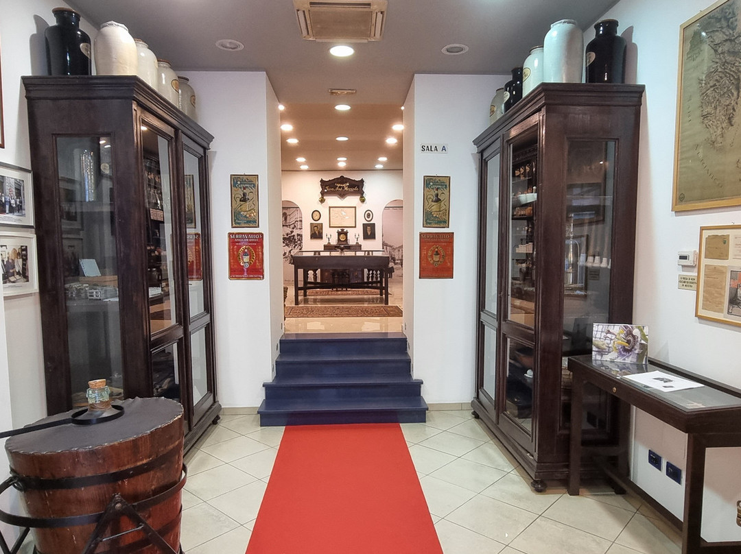 Museo della Farmacia Picciola-韦尔切利必去景点