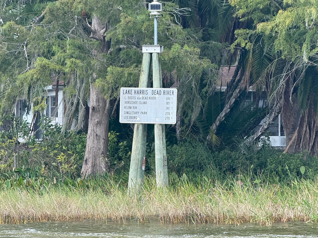 Lake Harris Boat Rentals-Leesburg必去景点