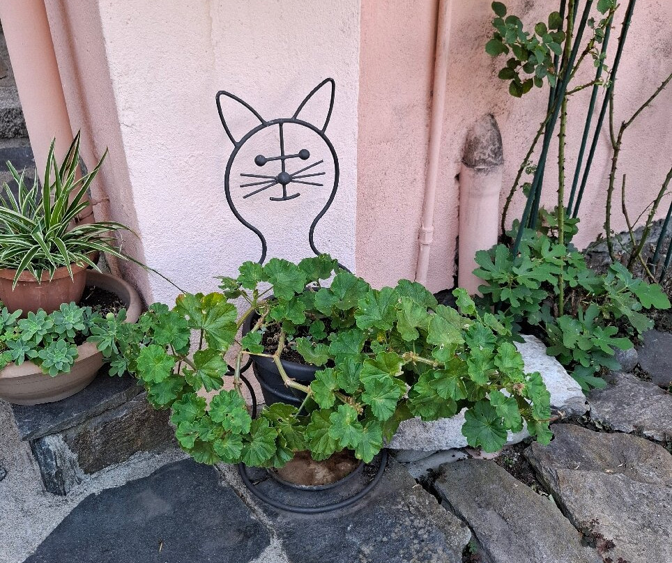 Brolo (vb)-Brolo必去景点