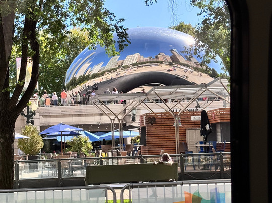 See it All Chicago Tours-芝加哥必去景点