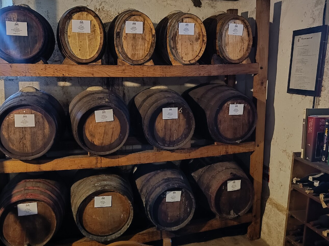 Cantine Innocenti-托里塔-迪锡耶纳必去景点