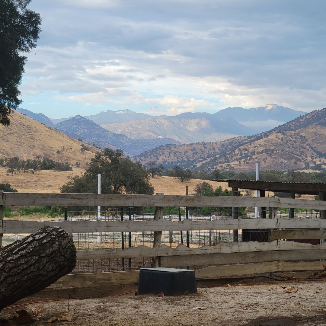 Lazy J Ranch Motel-浴室