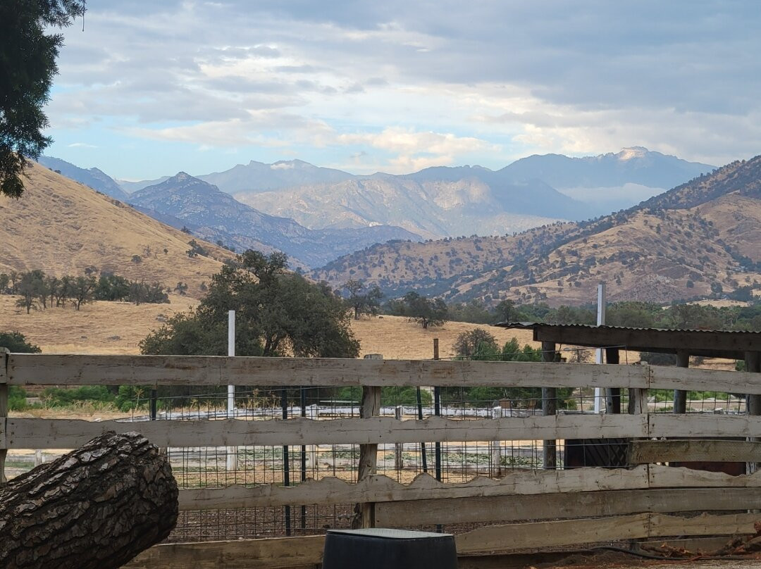 Lazy J Ranch Motel主图