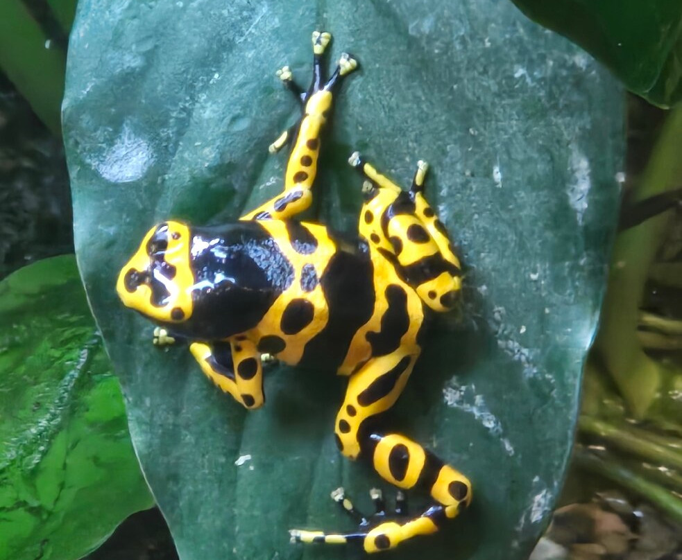 Newport Aquarium-Newport必去景点