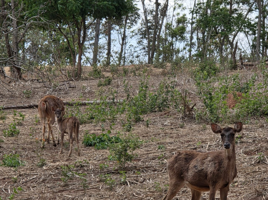 Bioparque Serra Negra-塞拉内格拉必去景点