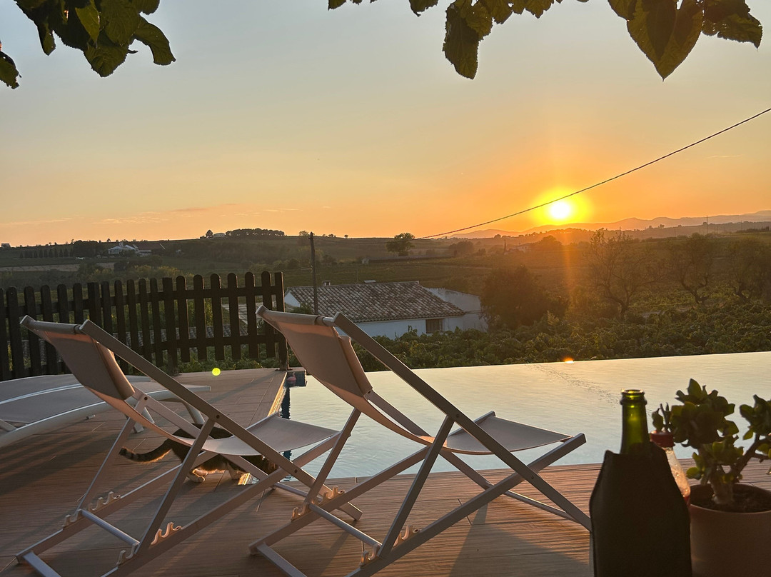 B&B Wine and Cooking Penedès主图