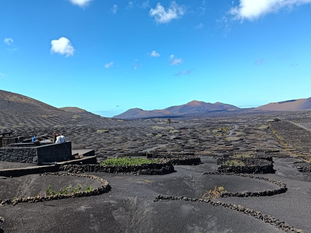 Bodega La Geria-La Geria必去景点