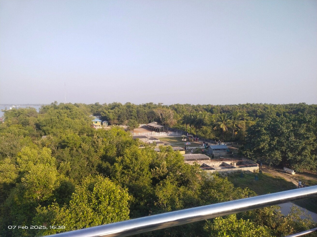 The Sundarbans-库尔纳县必去景点