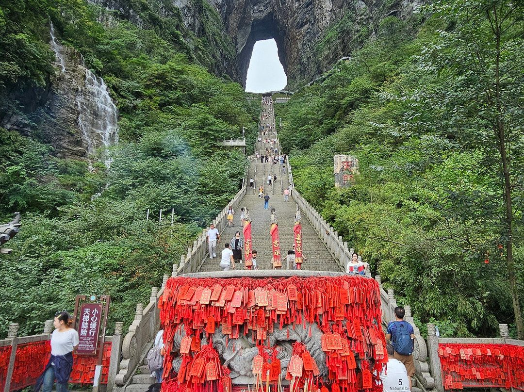 China Discovery-成都必去景点