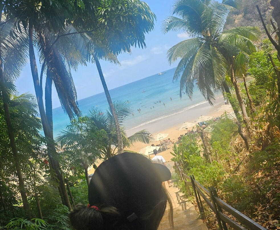 Praia do Cachorro-费尔南多-迪诺罗尼亚群岛必去景点