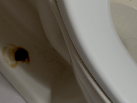 Negril Palms Hotel主图