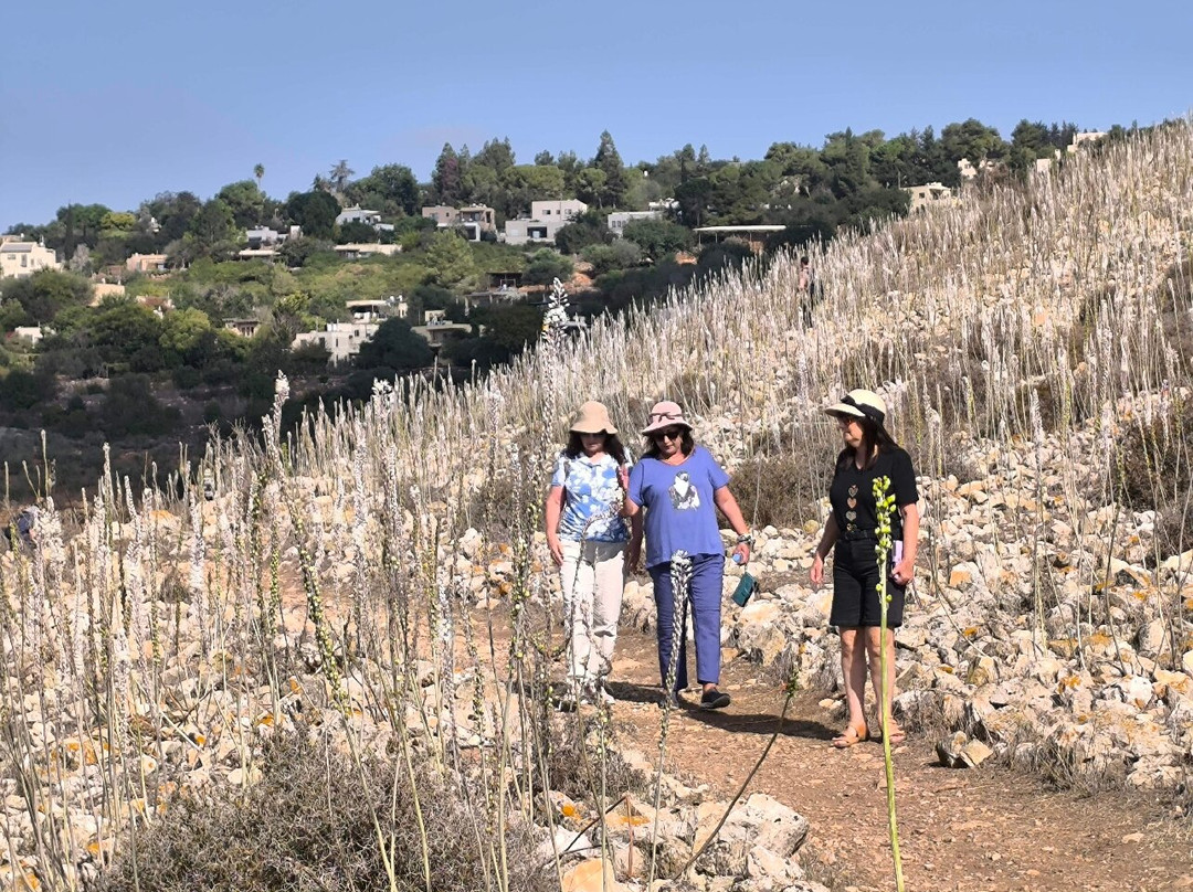 Tel Yodfat-Yodfat必去景点