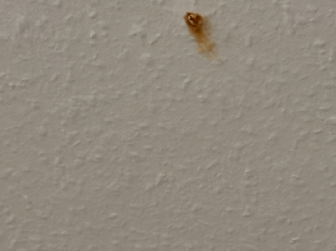 Residenz Limburgerhof主图