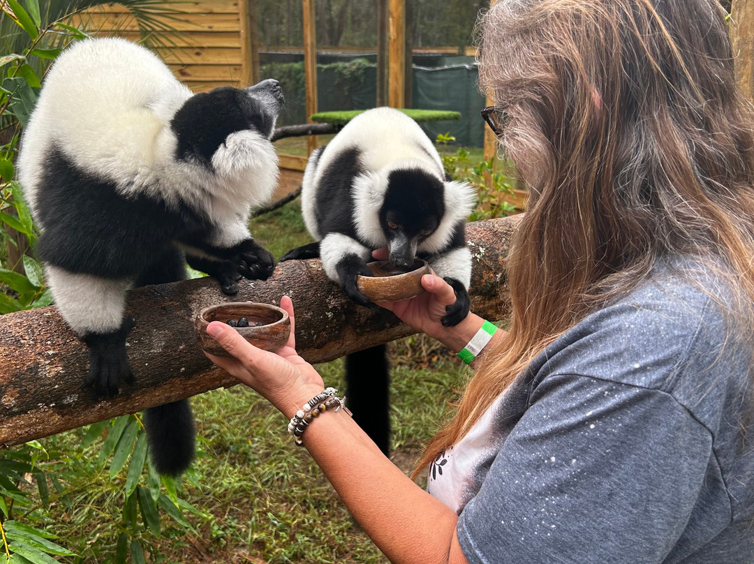 North Florida Wildlife Center-Lamont必去景点