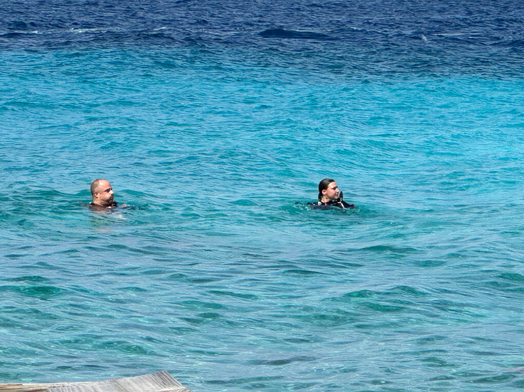 Dushi Diving-威廉斯塔德必去景点