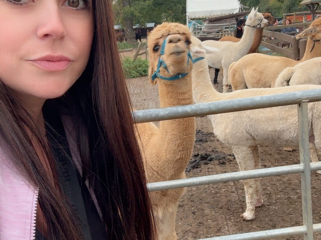 Lucky Tails Alpaca Farm-Atherstone必去景点