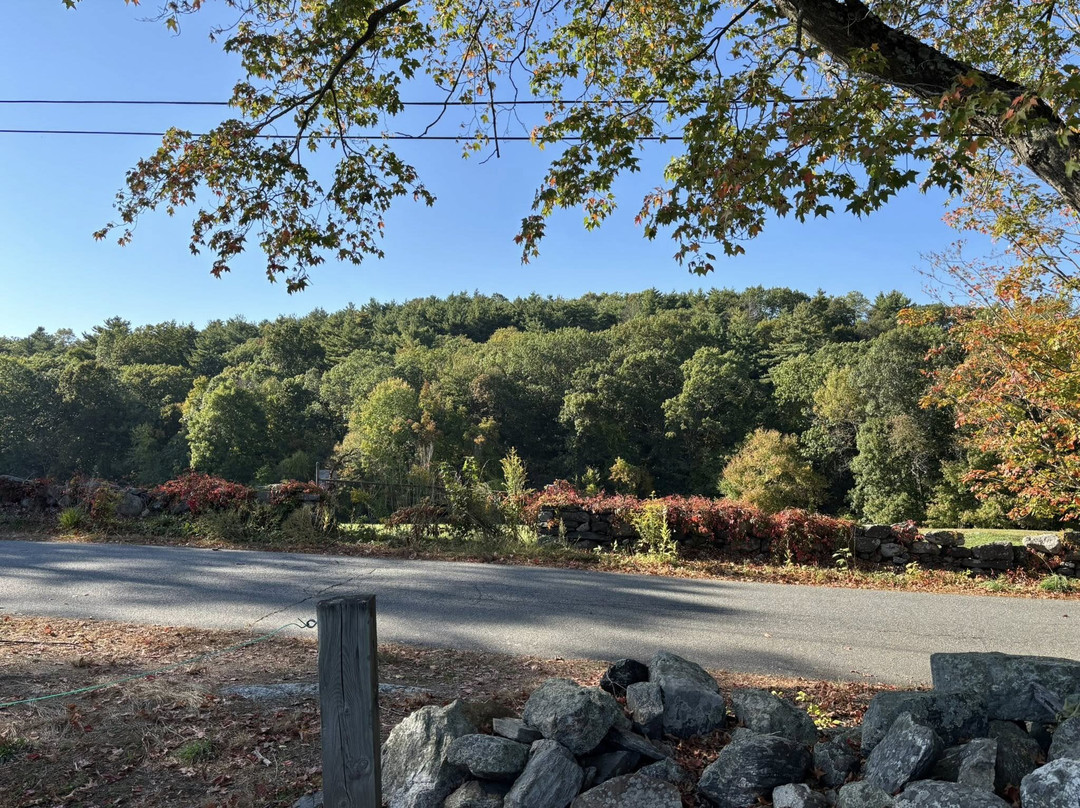 Berlin Orchards-Berlin必去景点