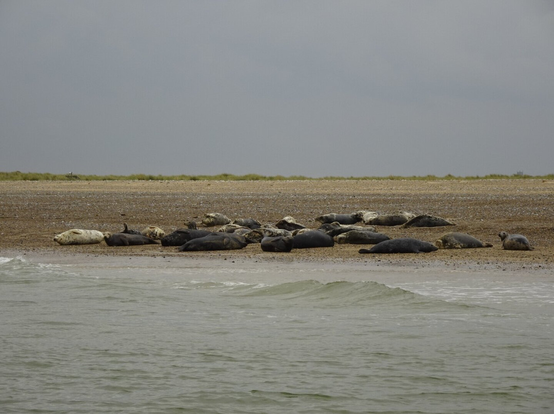 Bishops Boats Seal Trips-布莱克尼必去景点