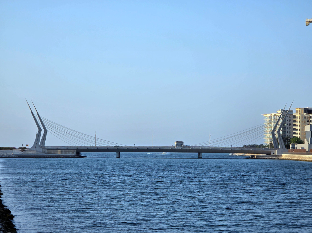 Reef Island-麦纳麦必去景点