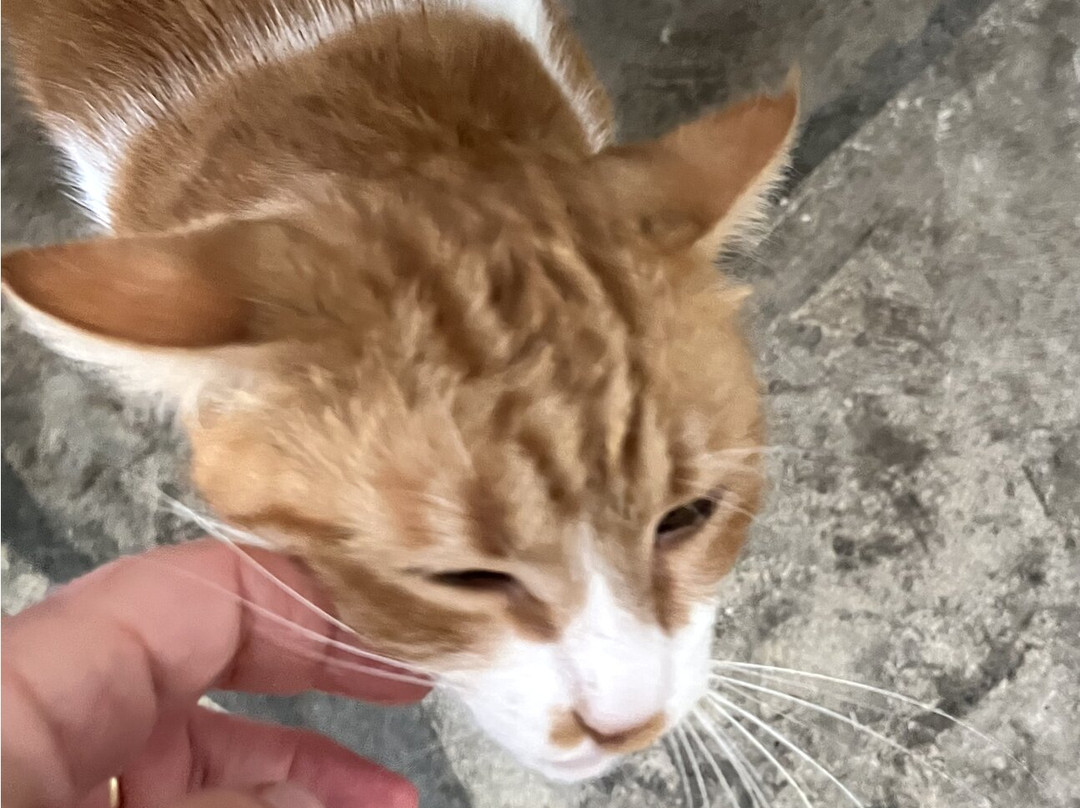 Cyprus Wine Museum-Erimi必去景点