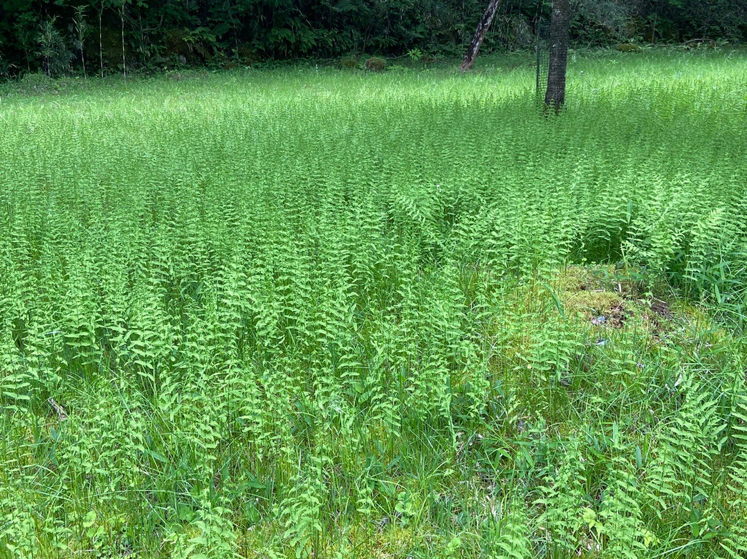 Narabi Jizo-日光市必去景点