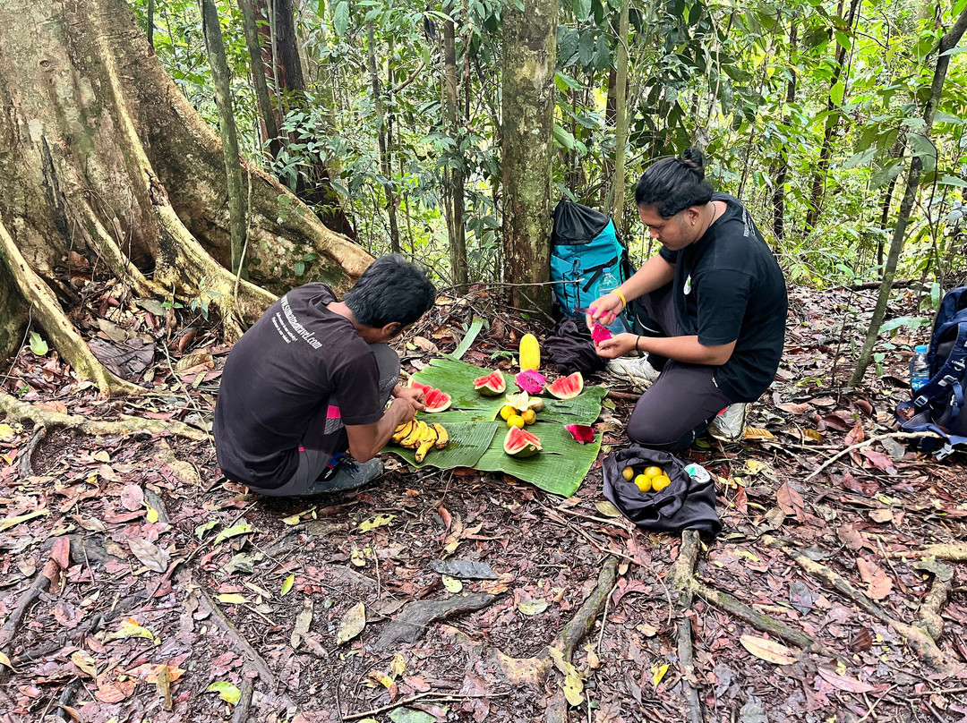 EcoTravel Bukit Lawang - Tours & Treks-武吉拉旺必去景点