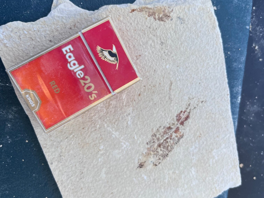 American Fossil-Kemmerer必去景点