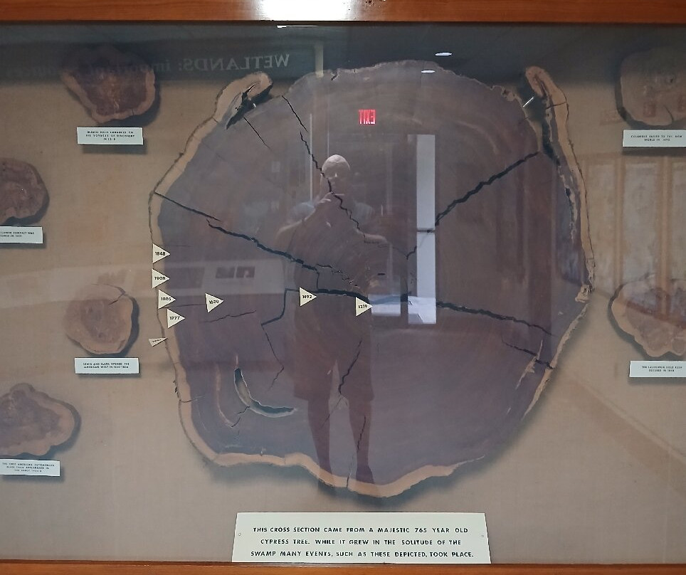 Okefenokee Swamp Park-Waycross必去景点