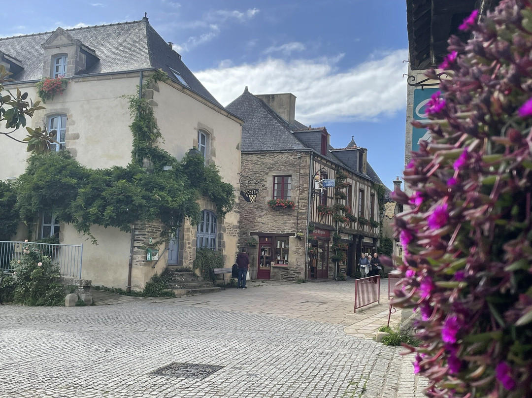 Château de Rochefort-en-Terre-莲蓬头必去景点