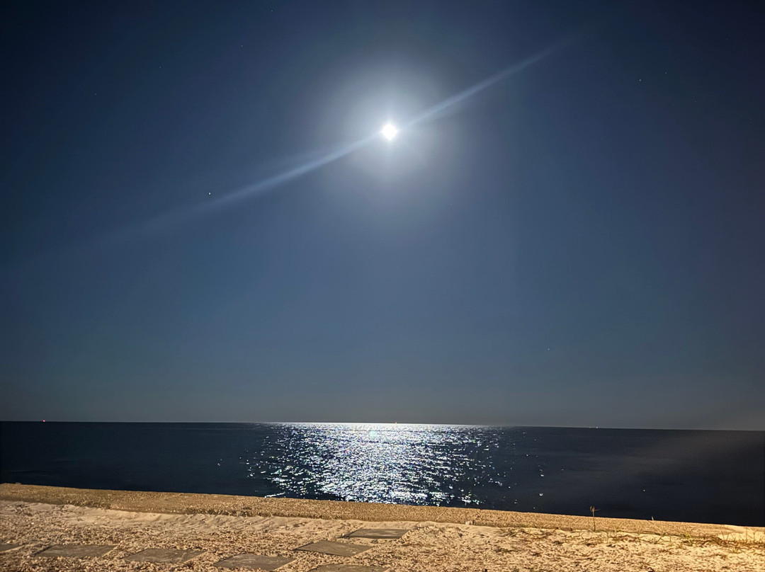 Surfcomber on the Ocean主图