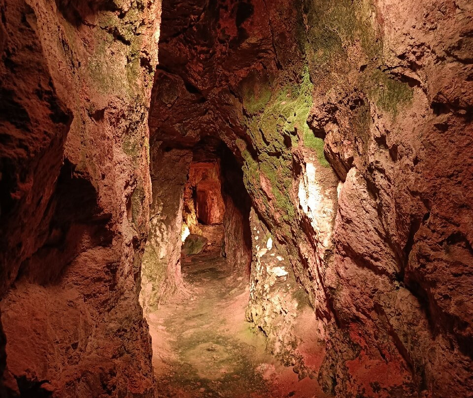 Société des Caves Roquefort - Visite des Caves-Roquefort Sur Soulzon必去景点