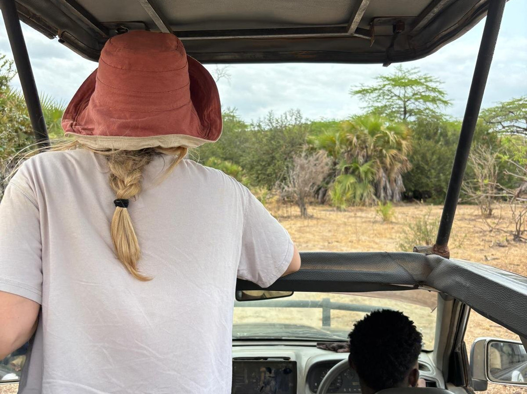 Asante Bibi Safaris And Tours-莫西必去景点