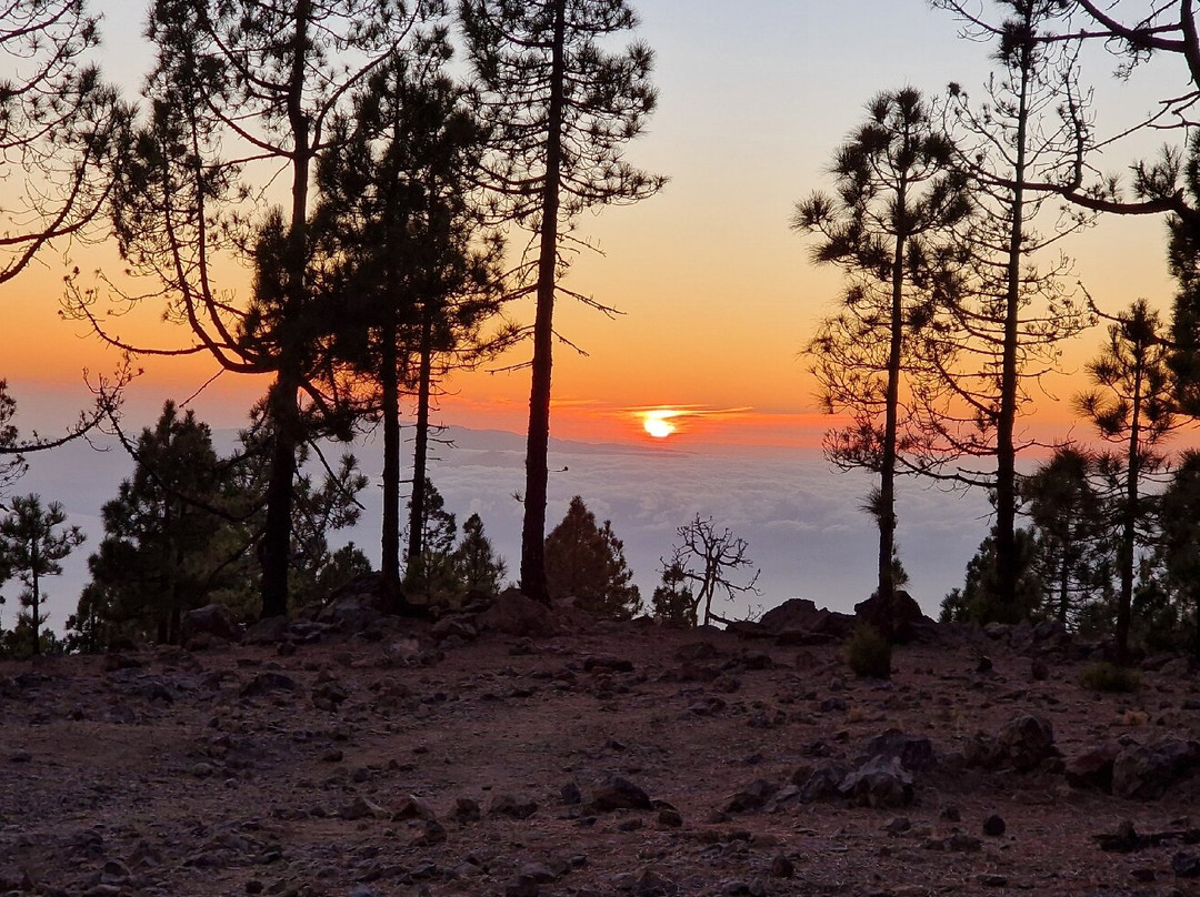 King Buggy Tenerife-Las Chafiras必去景点