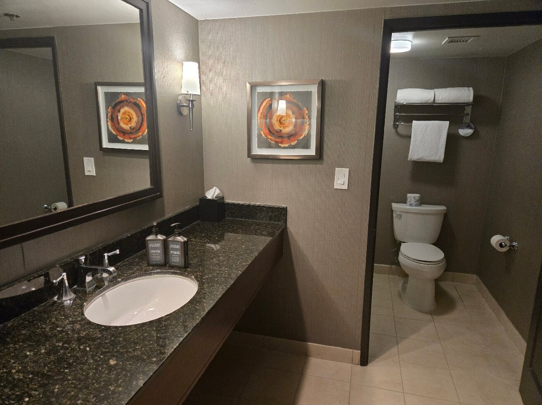 喜来登国际展览中心套房酒店主图