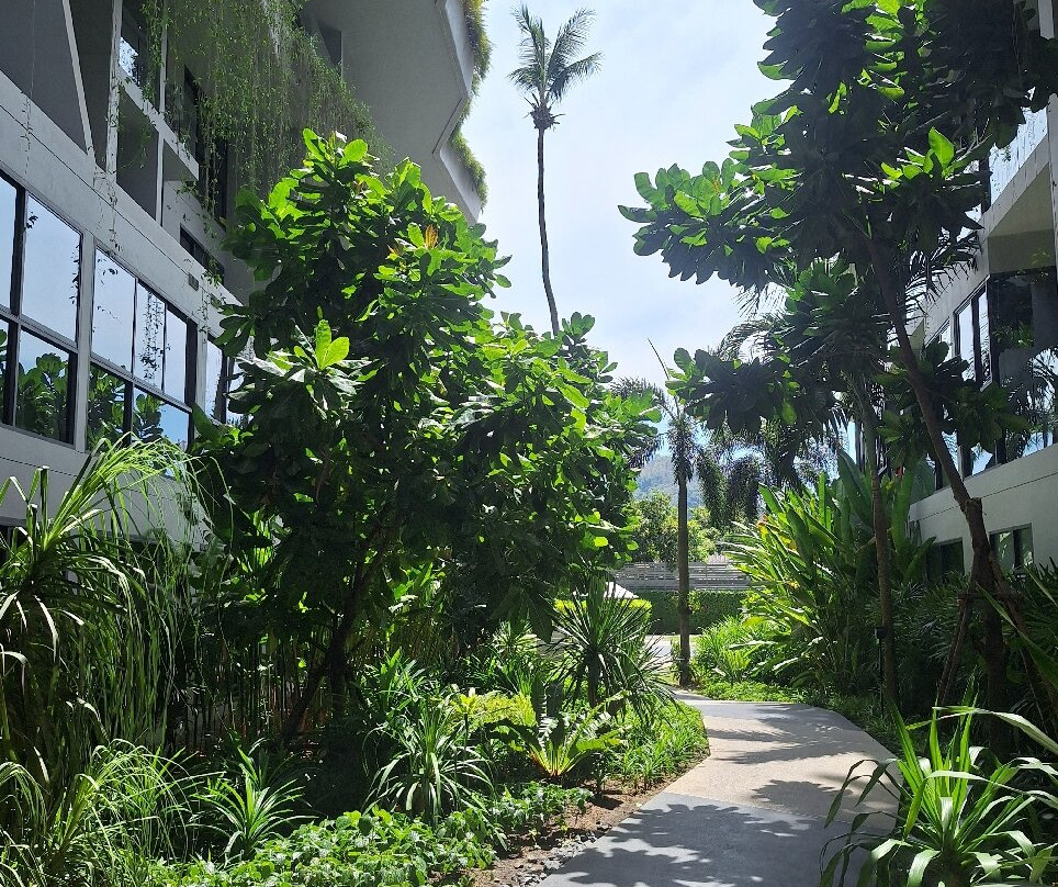 HOMA Phuket Town主图
