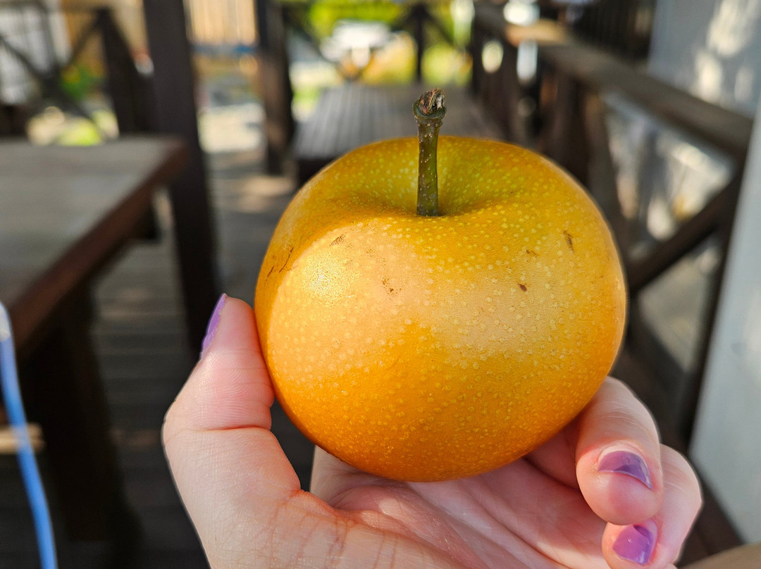 Nakagomi Fruit Orchard-南阿尔卑斯市必去景点