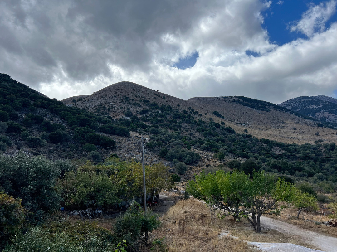 Petritis Cafe Taverna