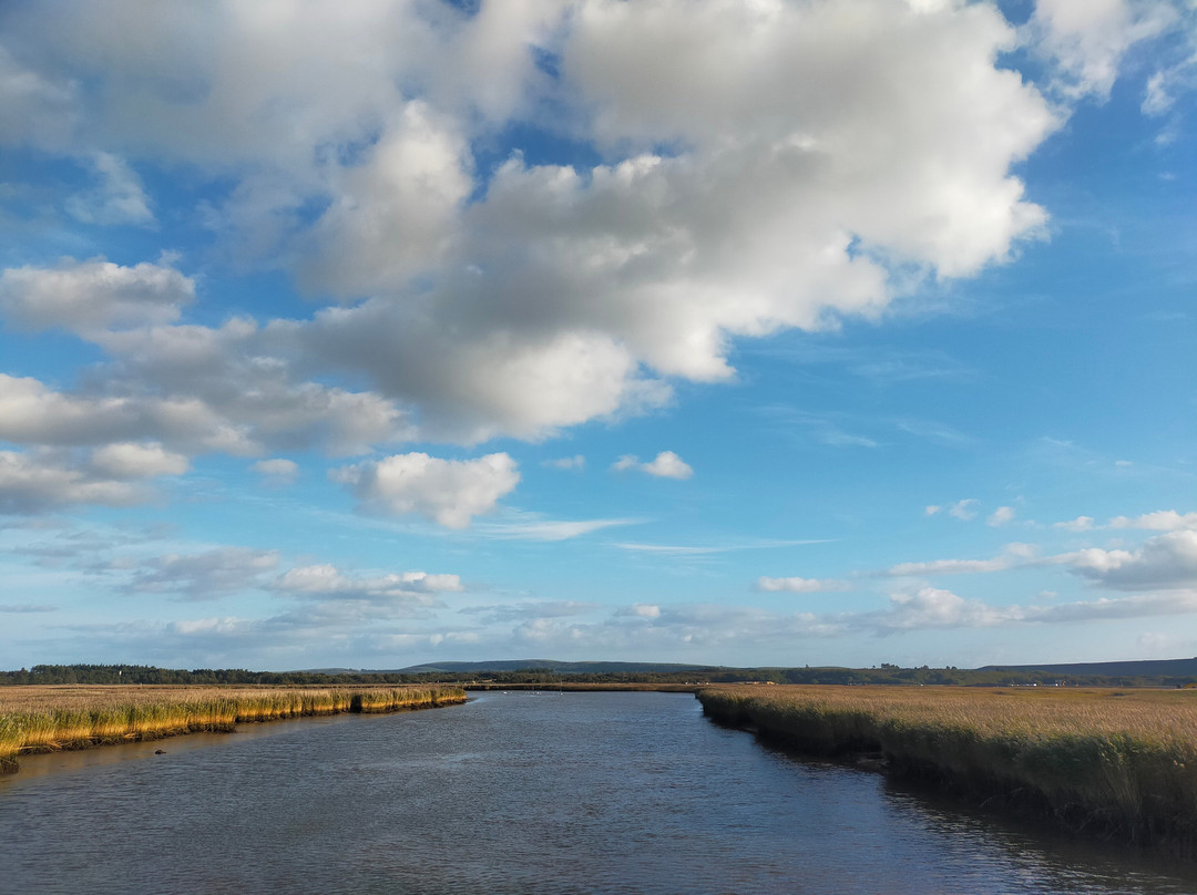 Birds Of Poole Harbour Events-普尔必去景点