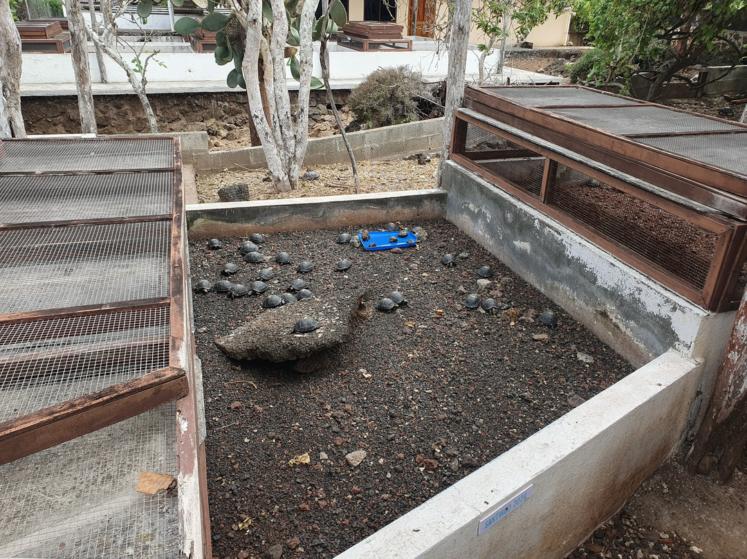 Estación Científica Charles Darwin-阿约拉港必去景点