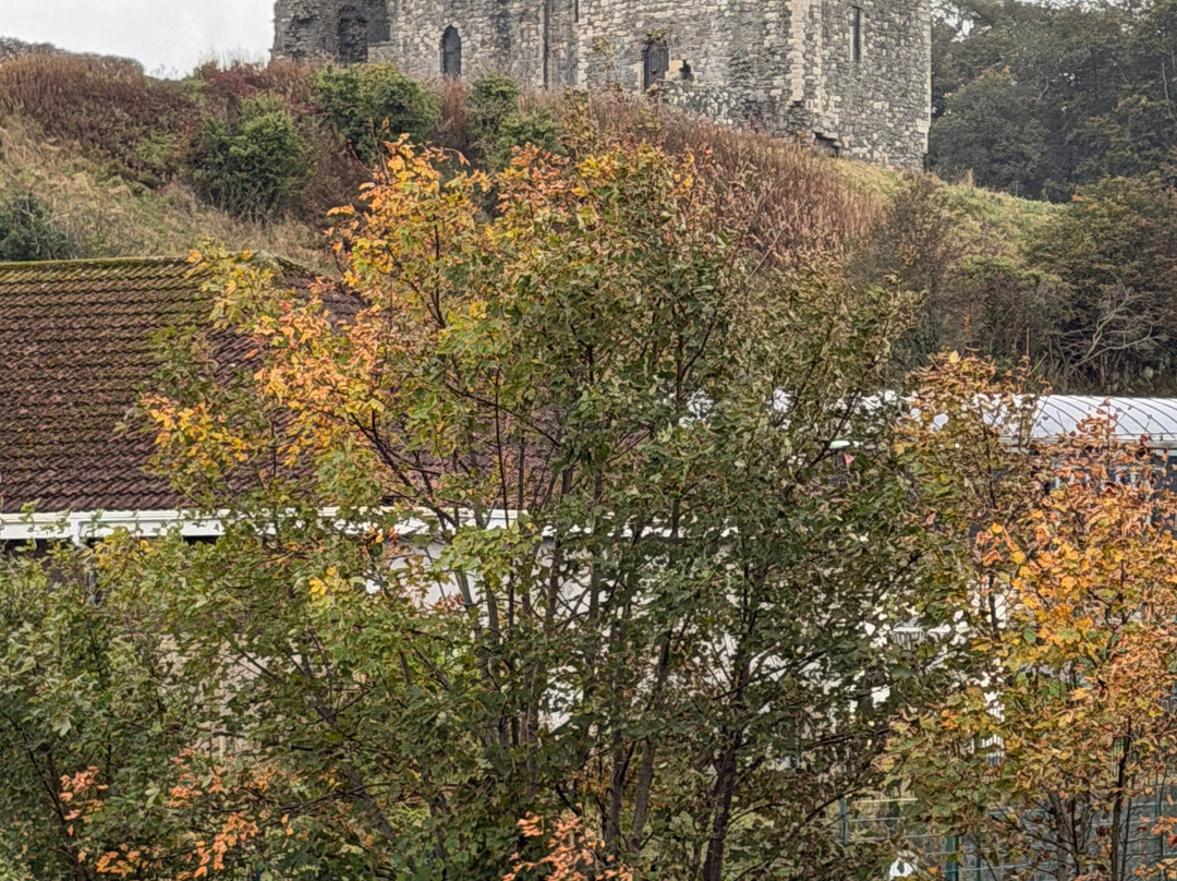 Dundonald Castle and Visitor Centre-Dundonald必去景点