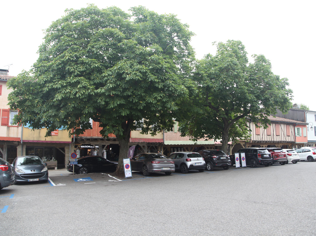 Place Marechal Leclerc-Mirepoix必去景点