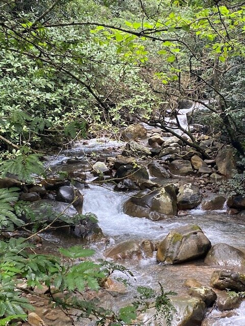 John Joiner Tours-Costa Rica必去景点