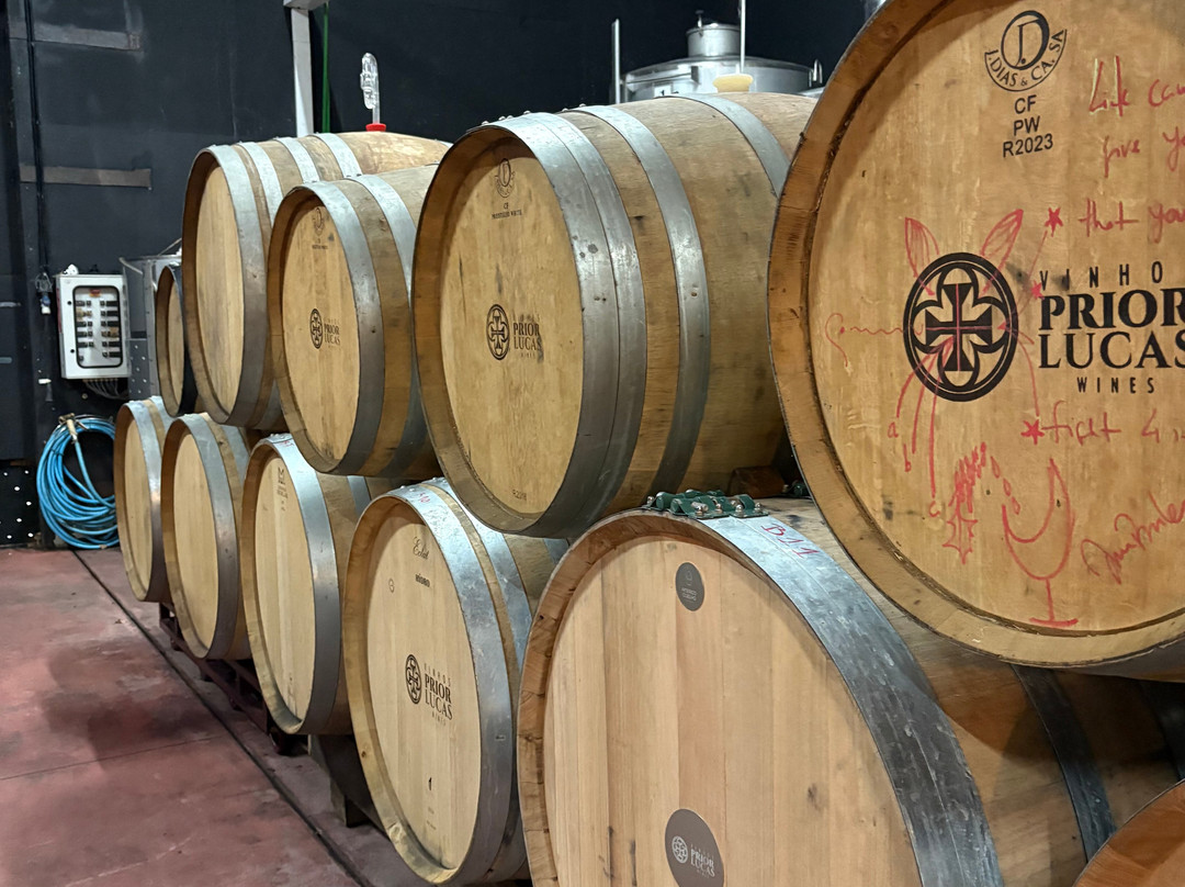 Prior Lucas Vinhos-科英布拉区必去景点