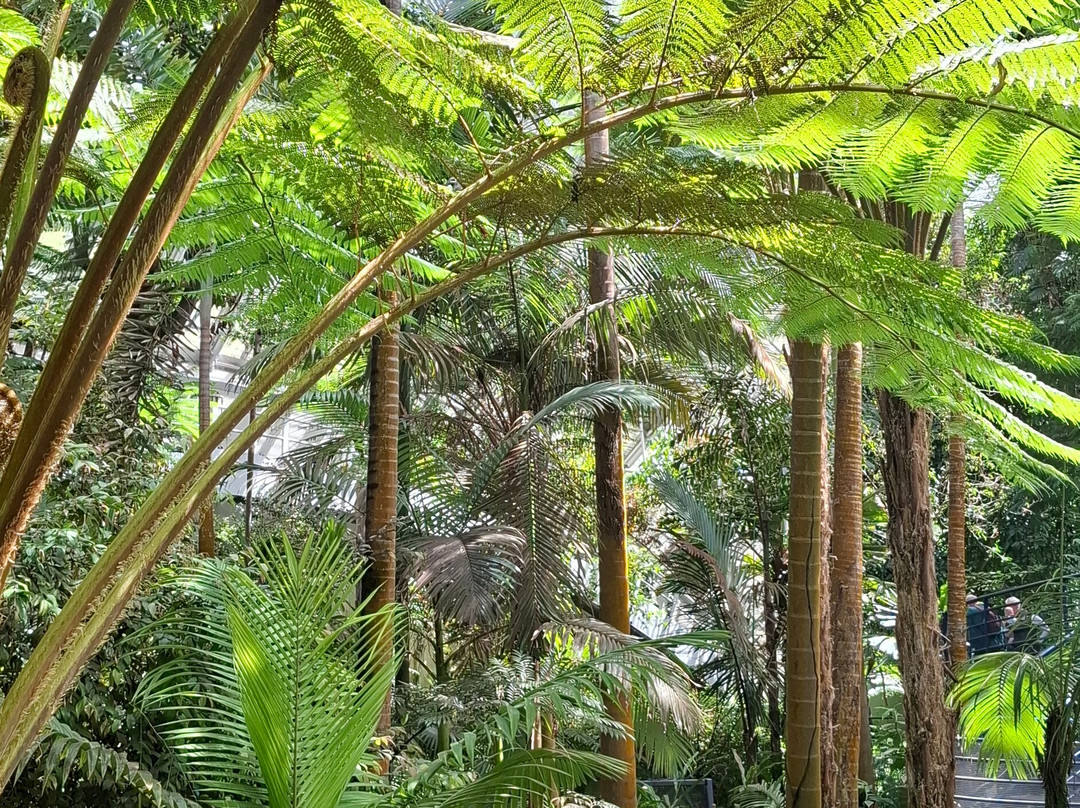 麦杰斯特米尼玛酒店主图