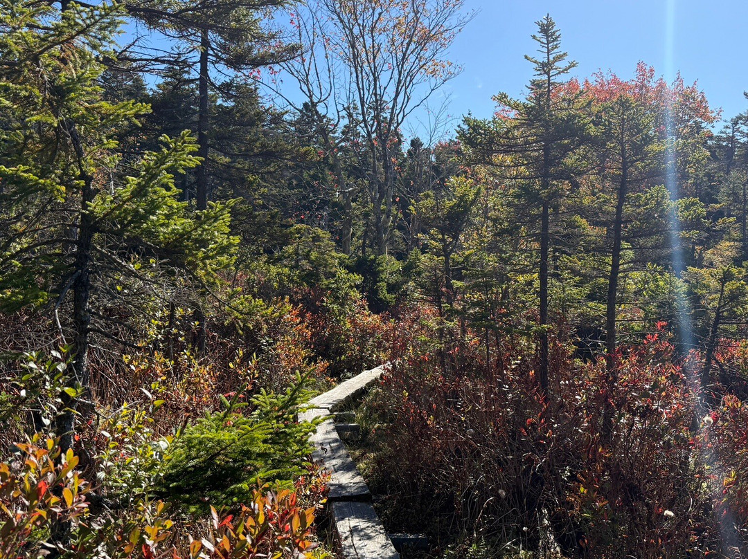 Isle au Haut Boat Services-Stonington必去景点