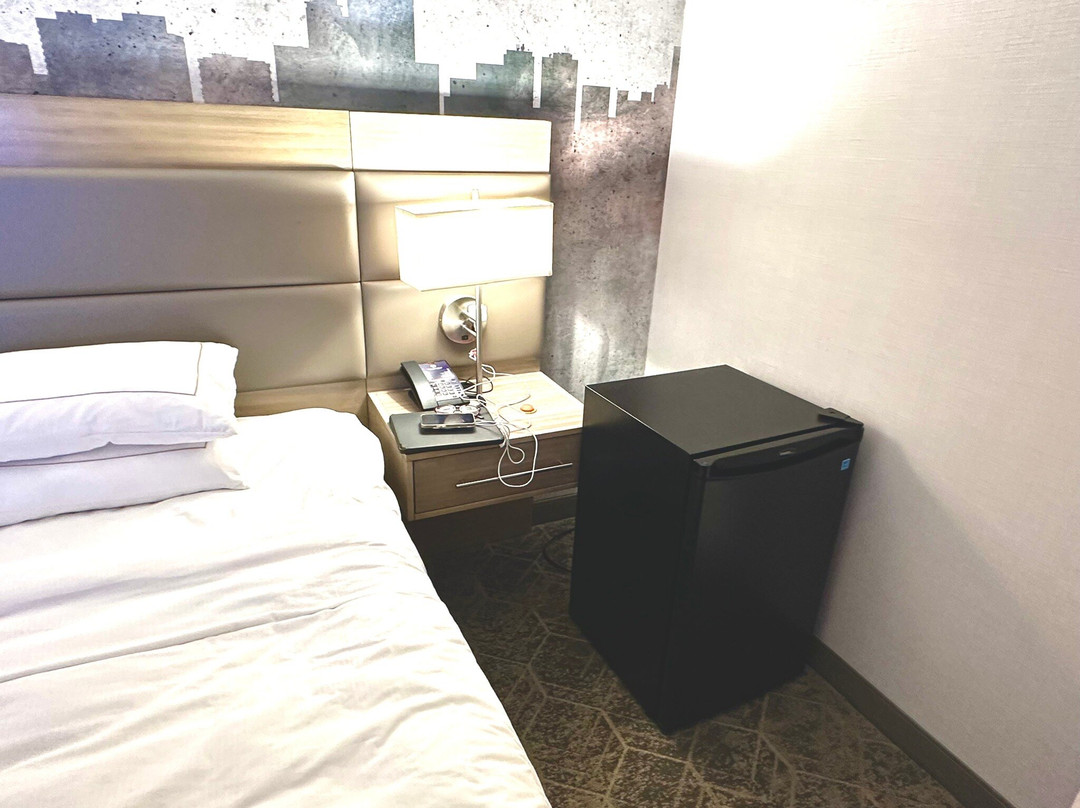 圣路易斯机场假日酒店主图