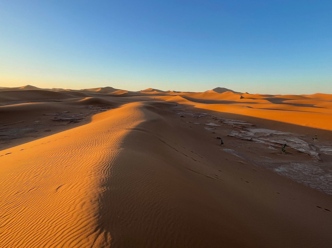 Desert Maroc Tours - Day Tours-扎古拉必去景点