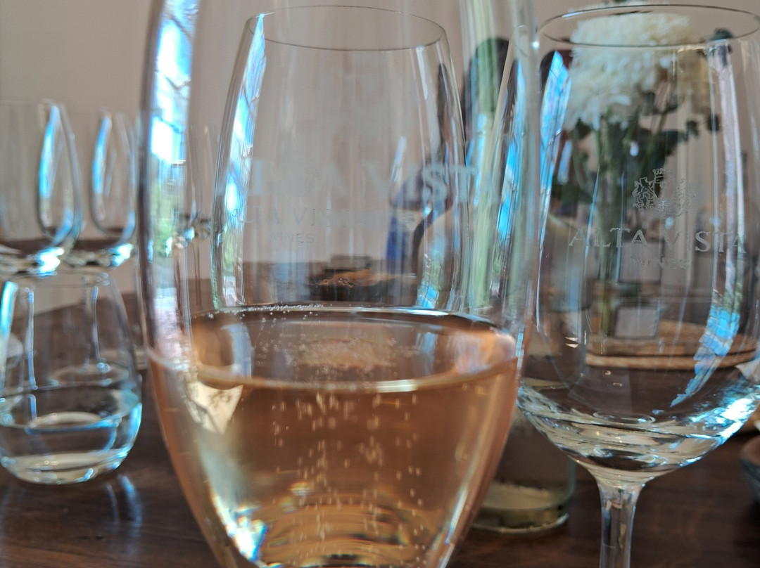 Bodega Alta Vista-路冉得库约必去景点