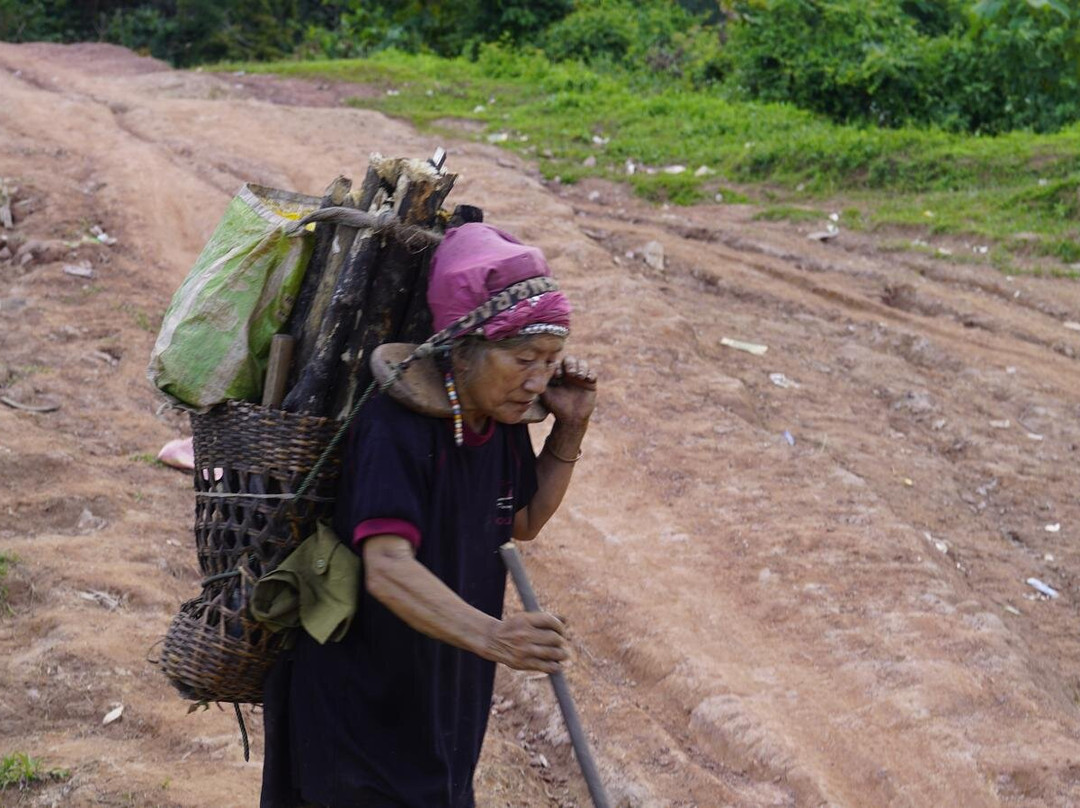 Into the Wild Laos-琅南塔必去景点