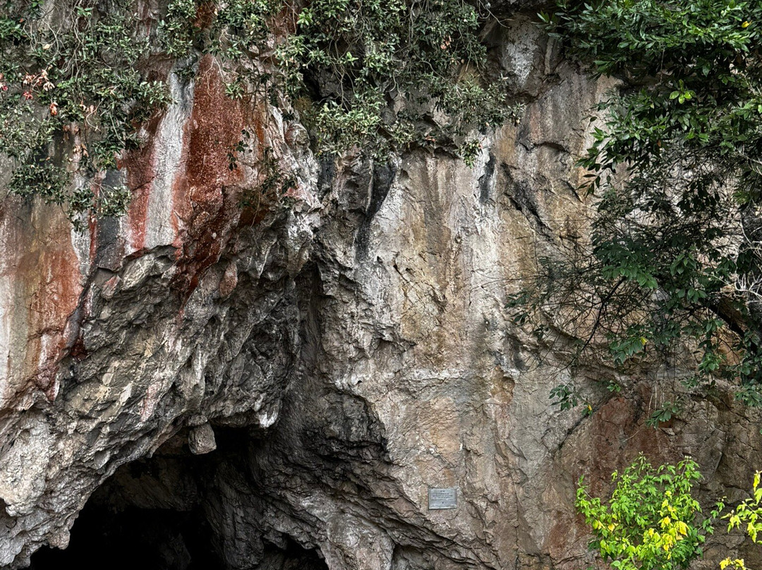 Cueva de Tito Bustillo-里瓦德塞利亚必去景点